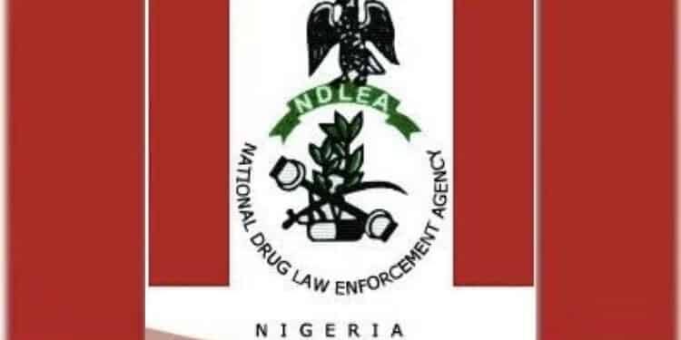 NDLEA Begins Nationwide Crackdown On 'Laughing Gas' Nitrous Oxide