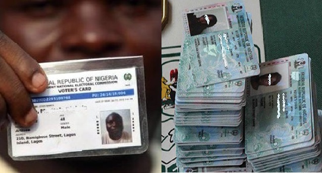 Appeal Court Allows Nigerians To Vote With Temporary Voter's Card 